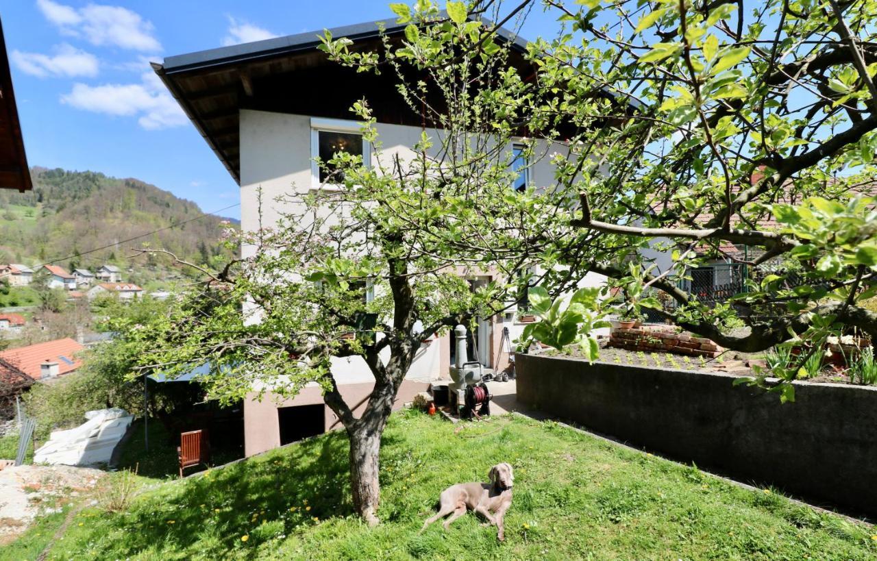 Bergmannhaus Holiday home